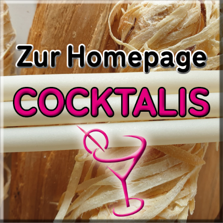 Link zur eigentlichen Homepage